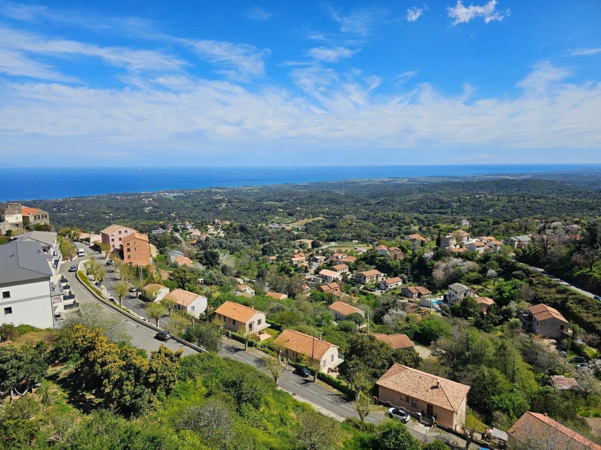 Palazzu Massoni, Magnifique Vue Sur La Mer Et La Montagne, Clim, Wifi, Parking Gratuit Cervione Buitenkant foto