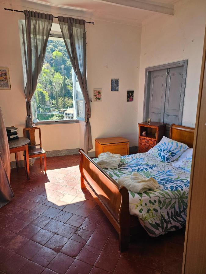 Palazzu Massoni, Magnifique Vue Sur La Mer Et La Montagne, Clim, Wifi, Parking Gratuit Cervione Buitenkant foto